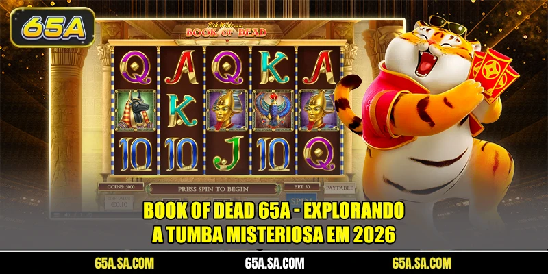 Book Of Dead 65A - Explorando A Tumba Misteriosa Em 2026