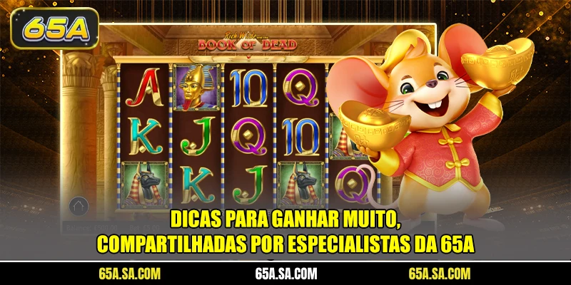 Dicas para ganhar muito, compartilhadas por especialistas da 65A
